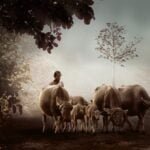 गृहस्थी पर संस्कृत श्लोक हिंदी में sanskrit slokas sanskritshlok.com