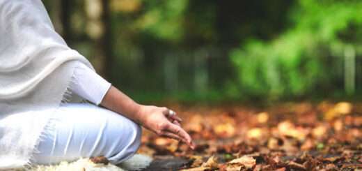 sanskrit shlok on celibacy