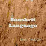 sanskrit-language-history-significance